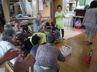 P1060575.jpg